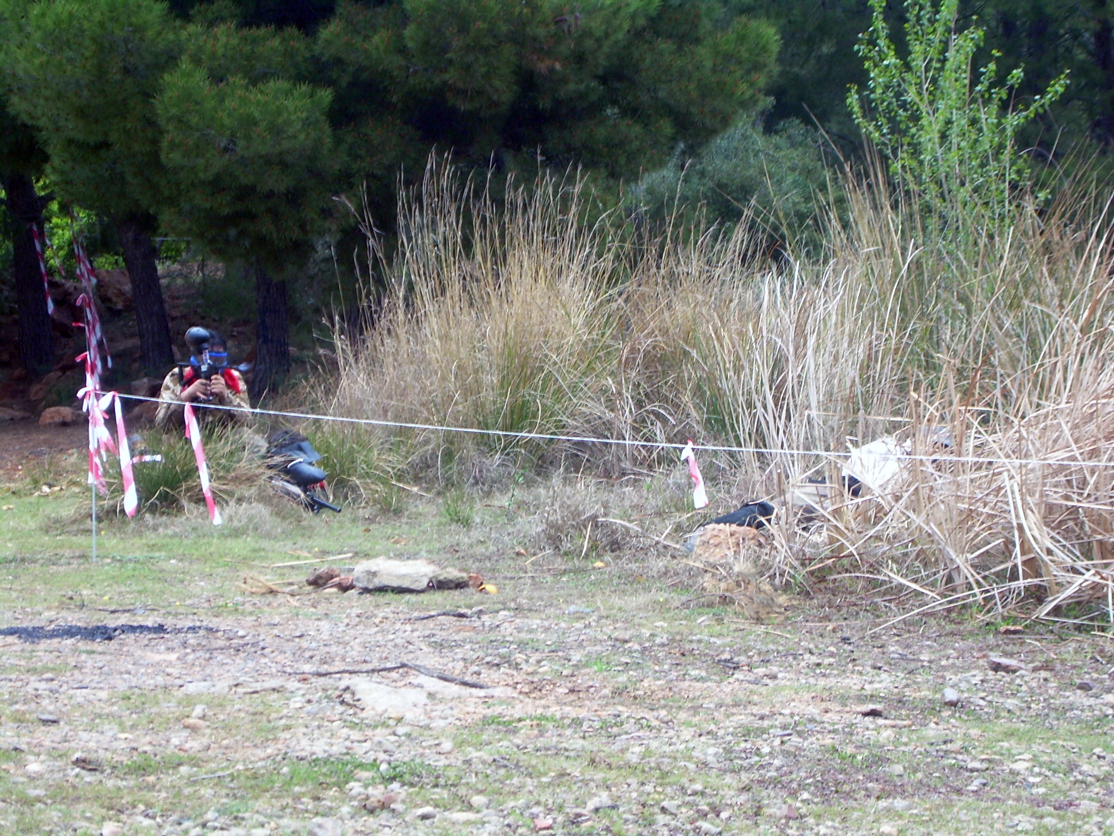 Fotografía DSCN0609 en el álbum Ribesalbes 2007